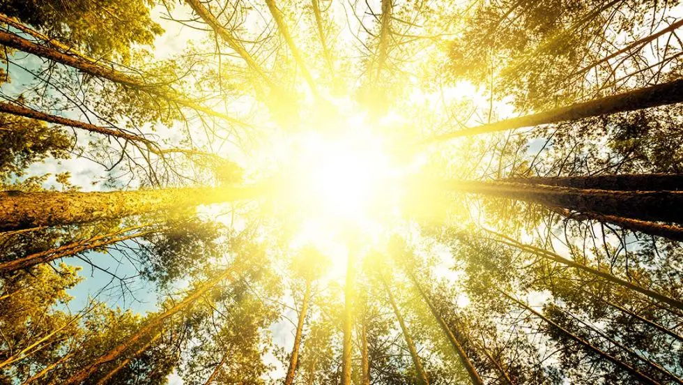 How light works