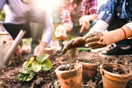 Gardening