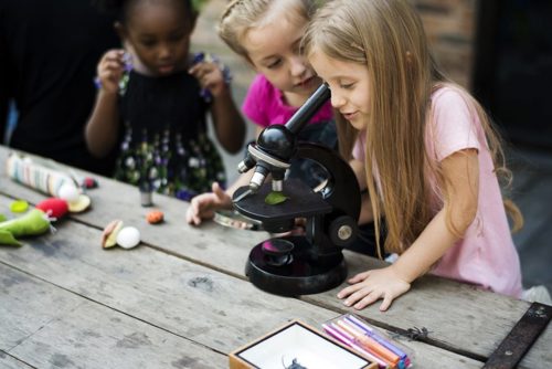 Outdoor Science Header.jpg