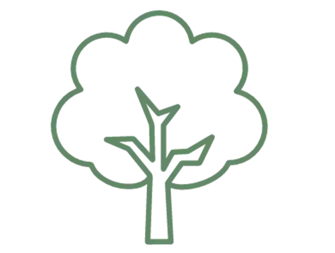 findeleducation-marketplace-_2024212_09_17_56_csr-environmental-v2.png