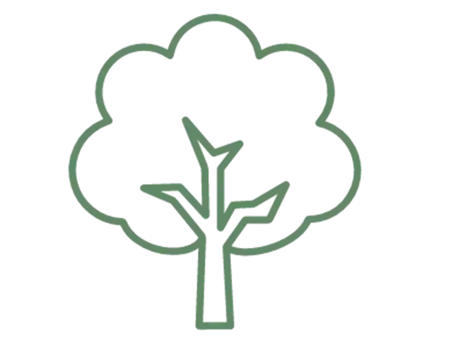 findeleducation-marketplace-_2024212_09_17_56_csr-environmental-v2.png