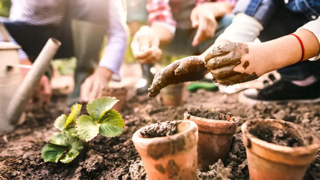 Children Gardening