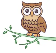 Ollie the owl