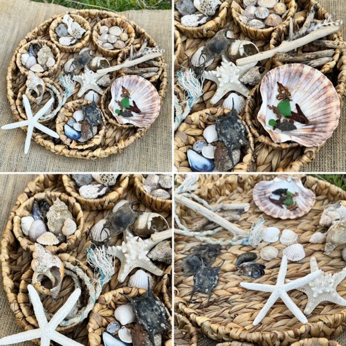 Counting Shells