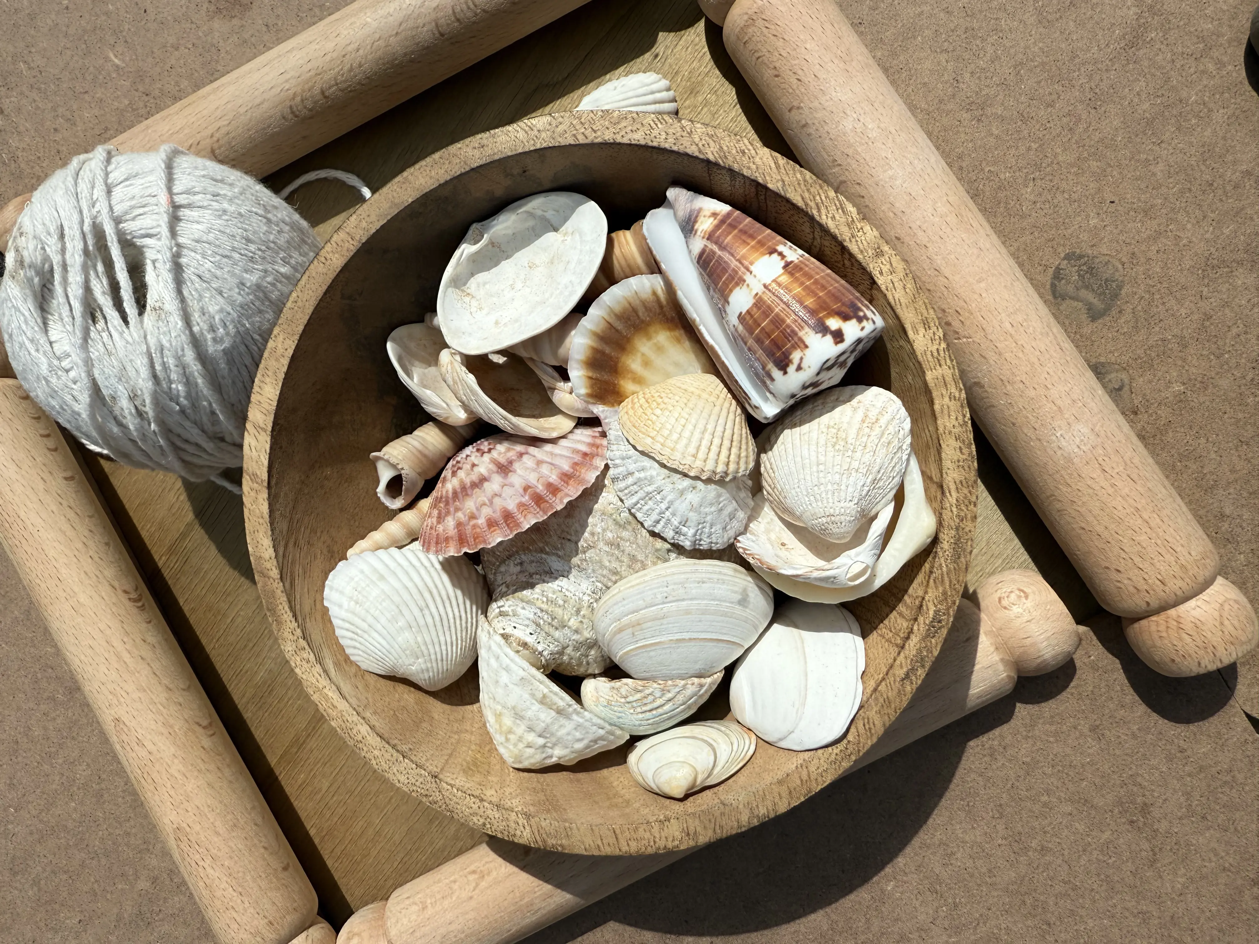 Seashell necklace making
