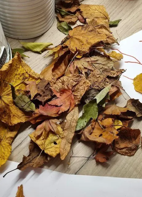 Autumn Leaves