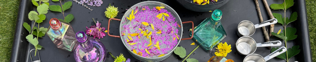 3 Easy Summer Nature Activities for Early Years: Part 1